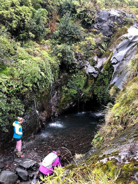 Wilkies Pools