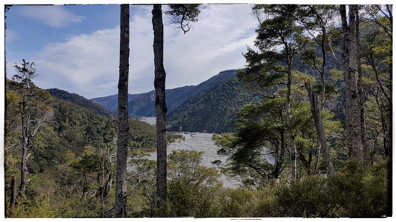 Back to Orongorongo Valley