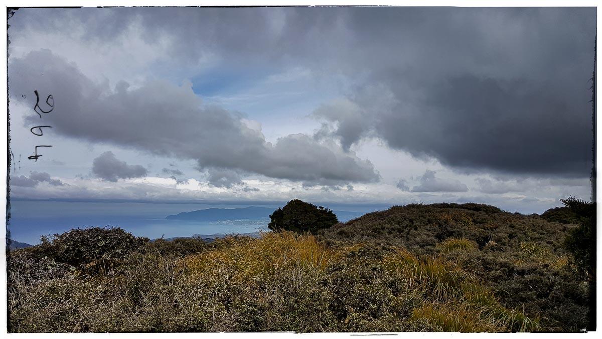 Wellington view