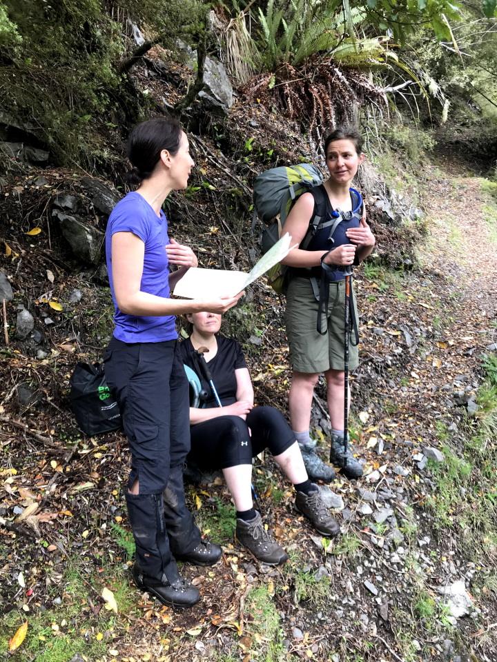 Map reading on a track