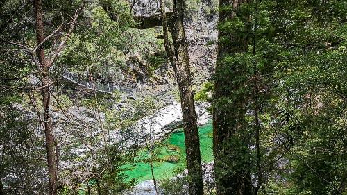 Pelorus River