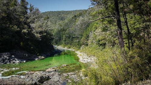 Pelorus River