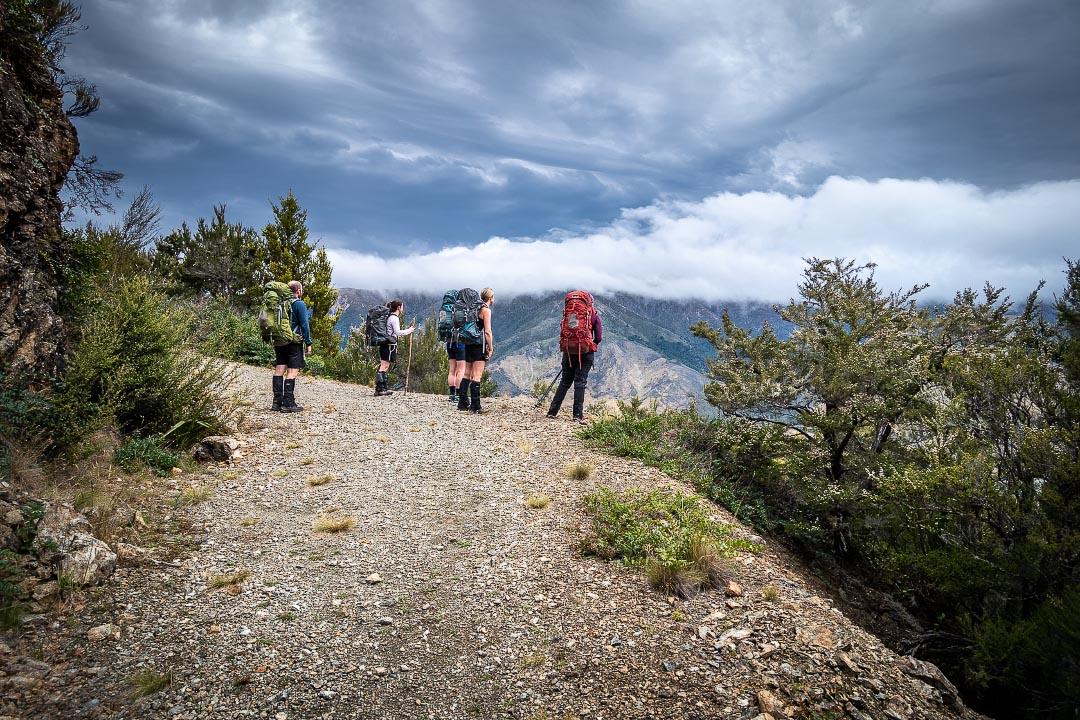 On the 4WD track to Red Hills Hut
