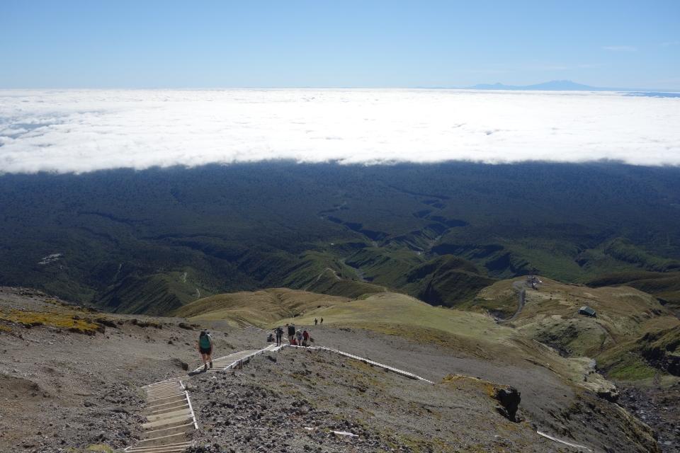 Steps down Mt Taranaki