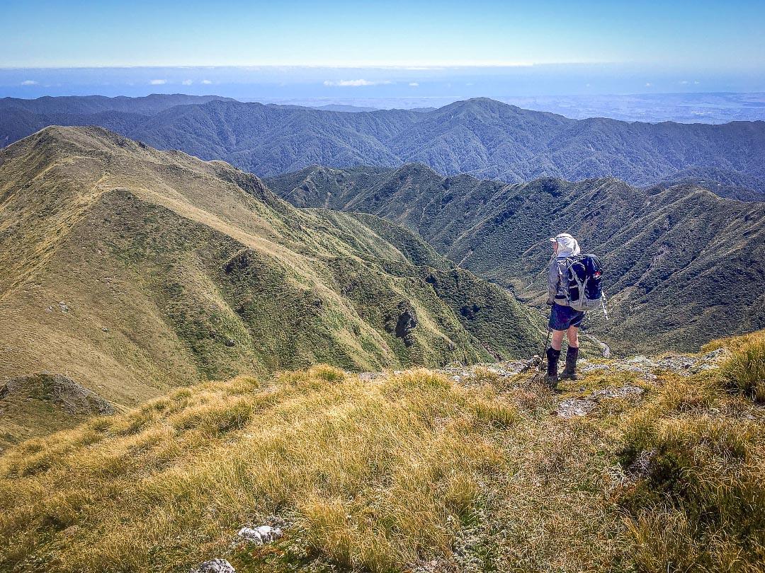Descending Thompson in the Tararua Range