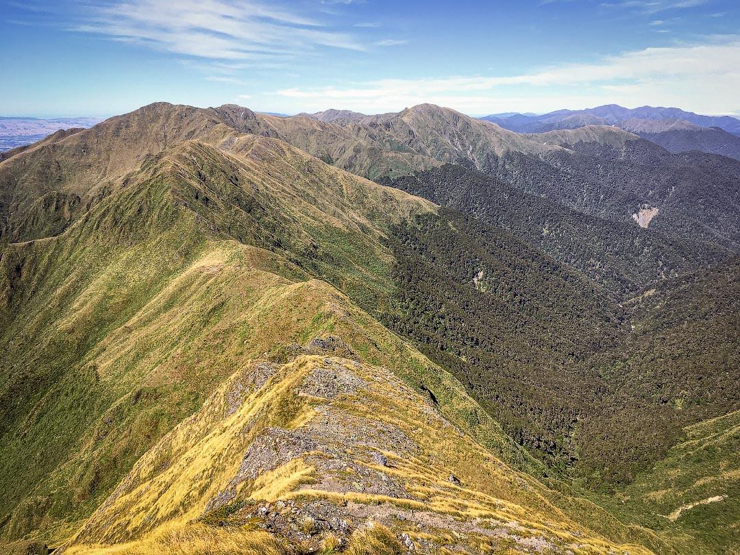 View south from Girdlestone in the Tararua Range
