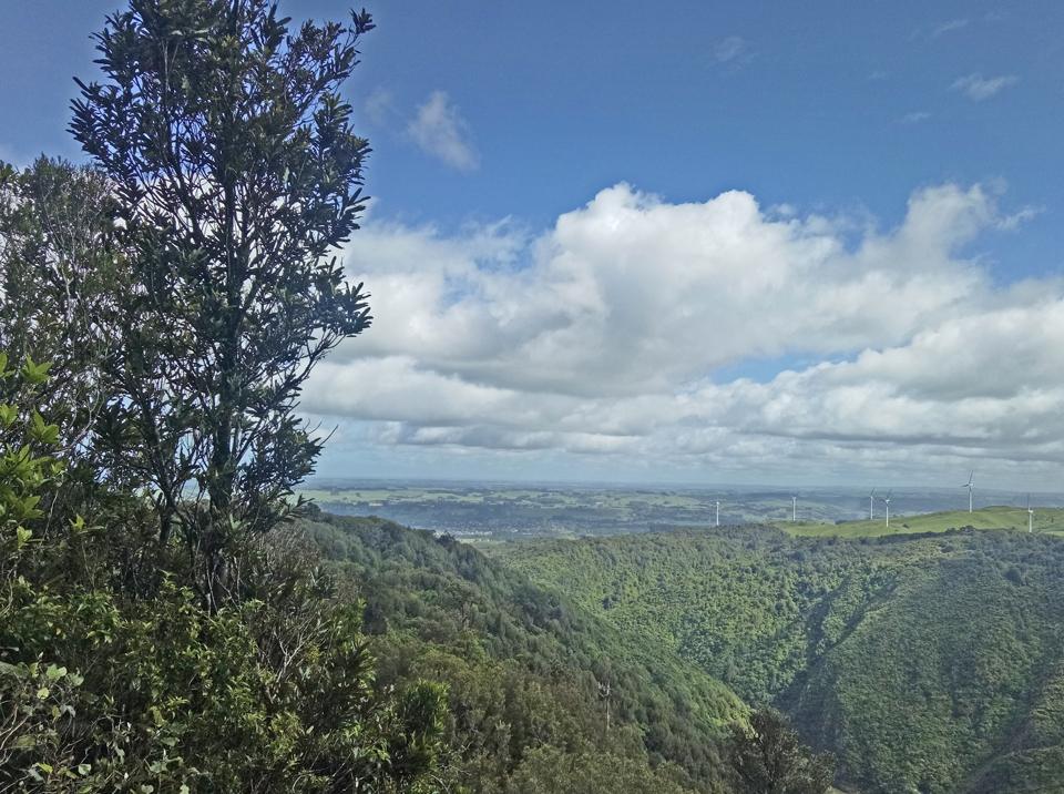 Manawatu Gorge Trail