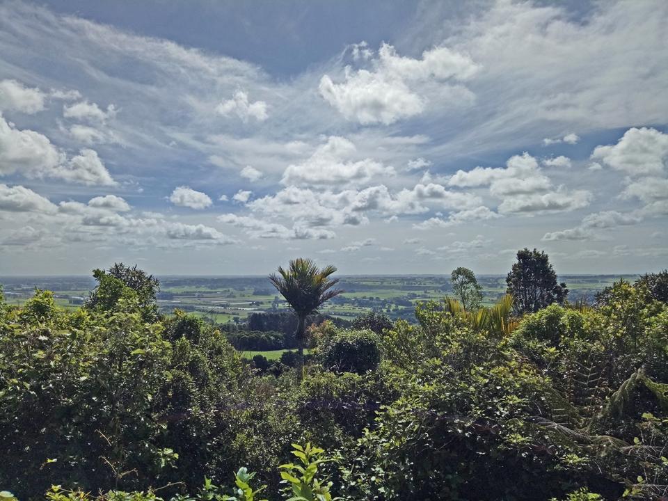 Manawatu Gorge Trail
