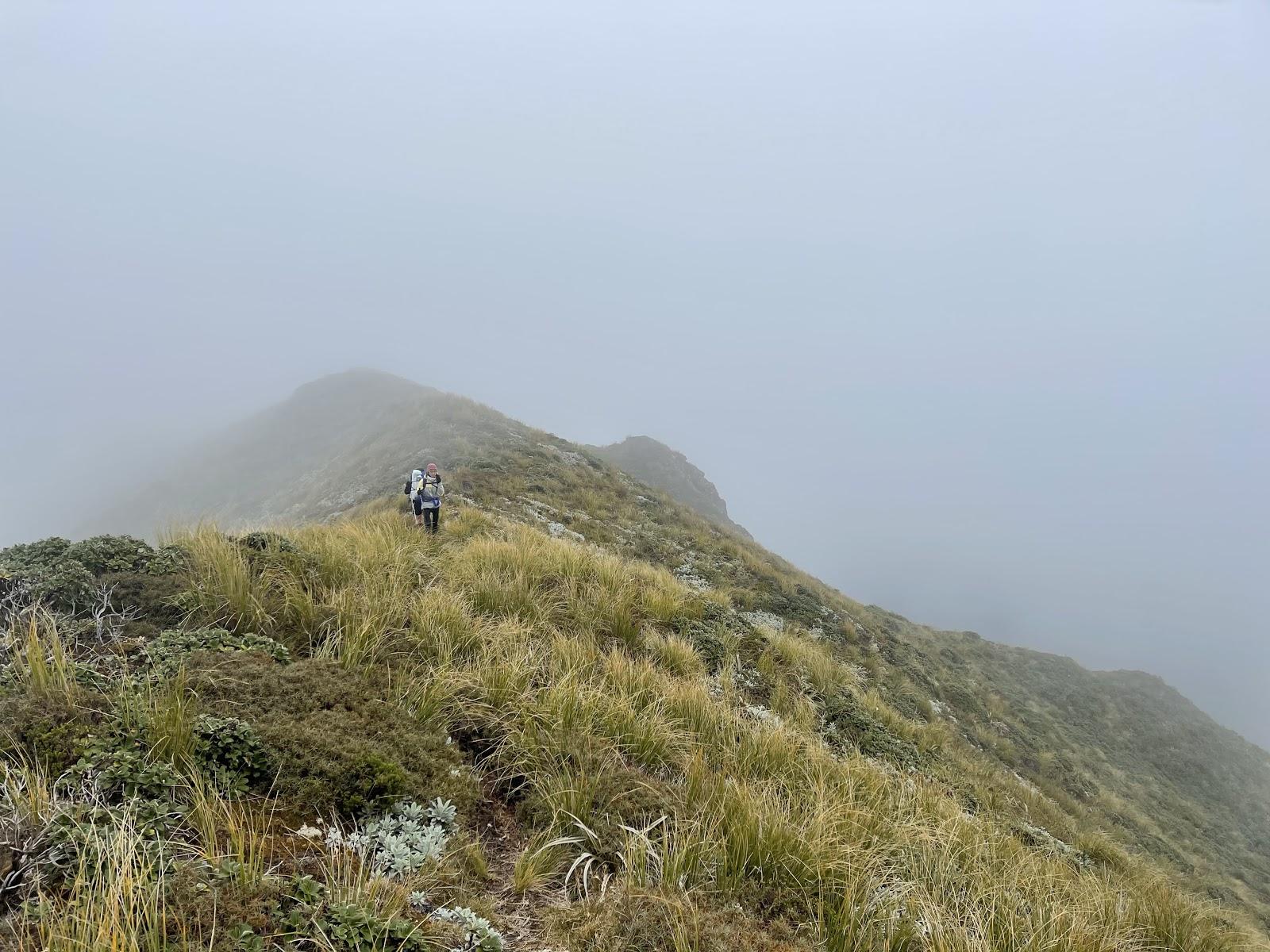 Along the top of the Tunupō loop