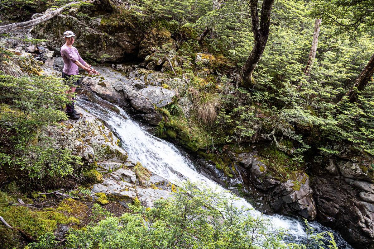 Tramper next to ruching stream in bush