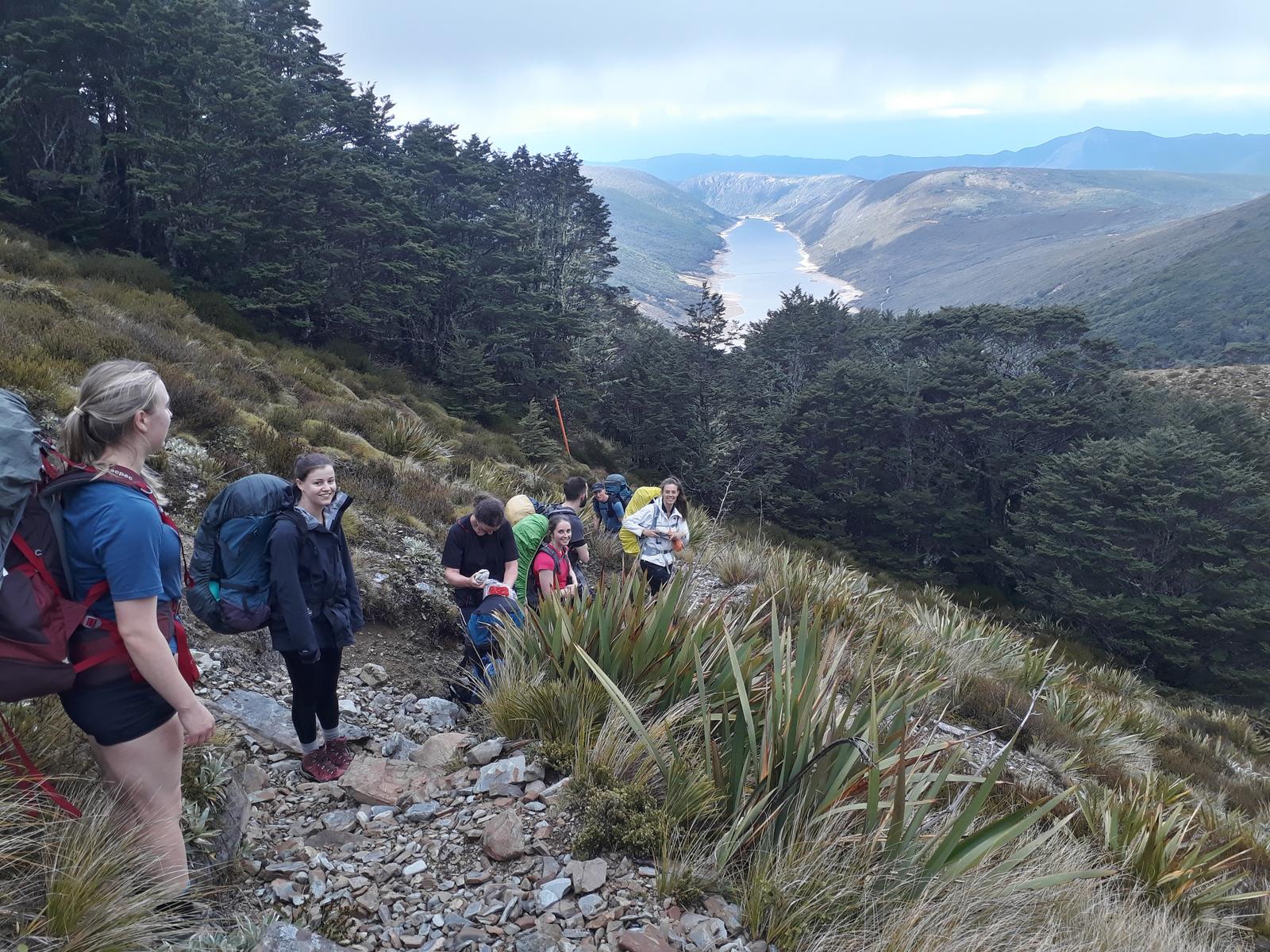 Trampers walking on a hill track