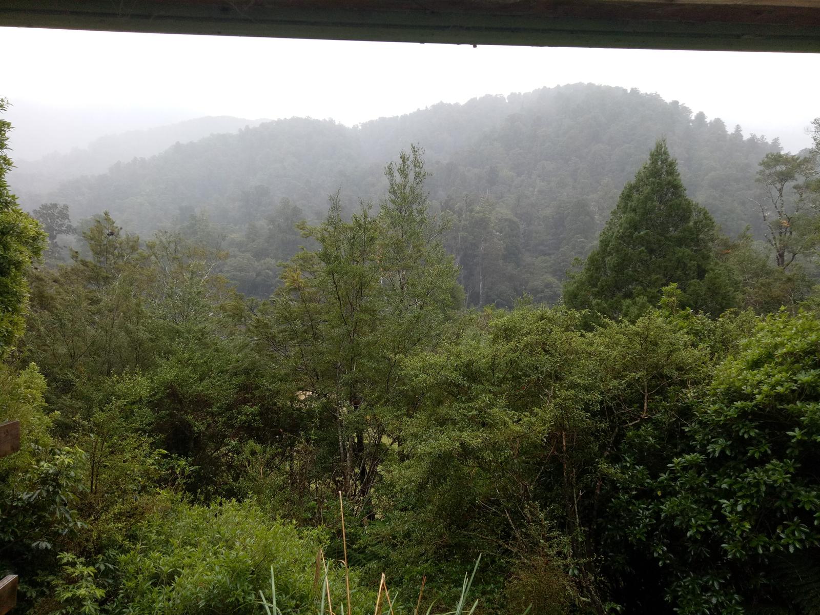 Views over bush