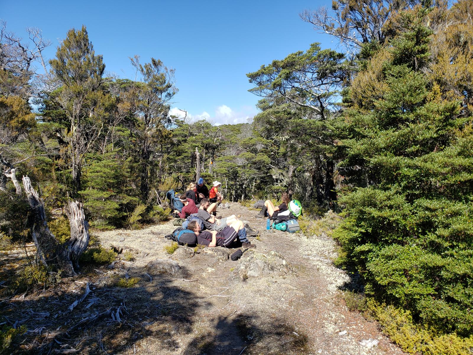 Lazy trampers sitting down in a clearing