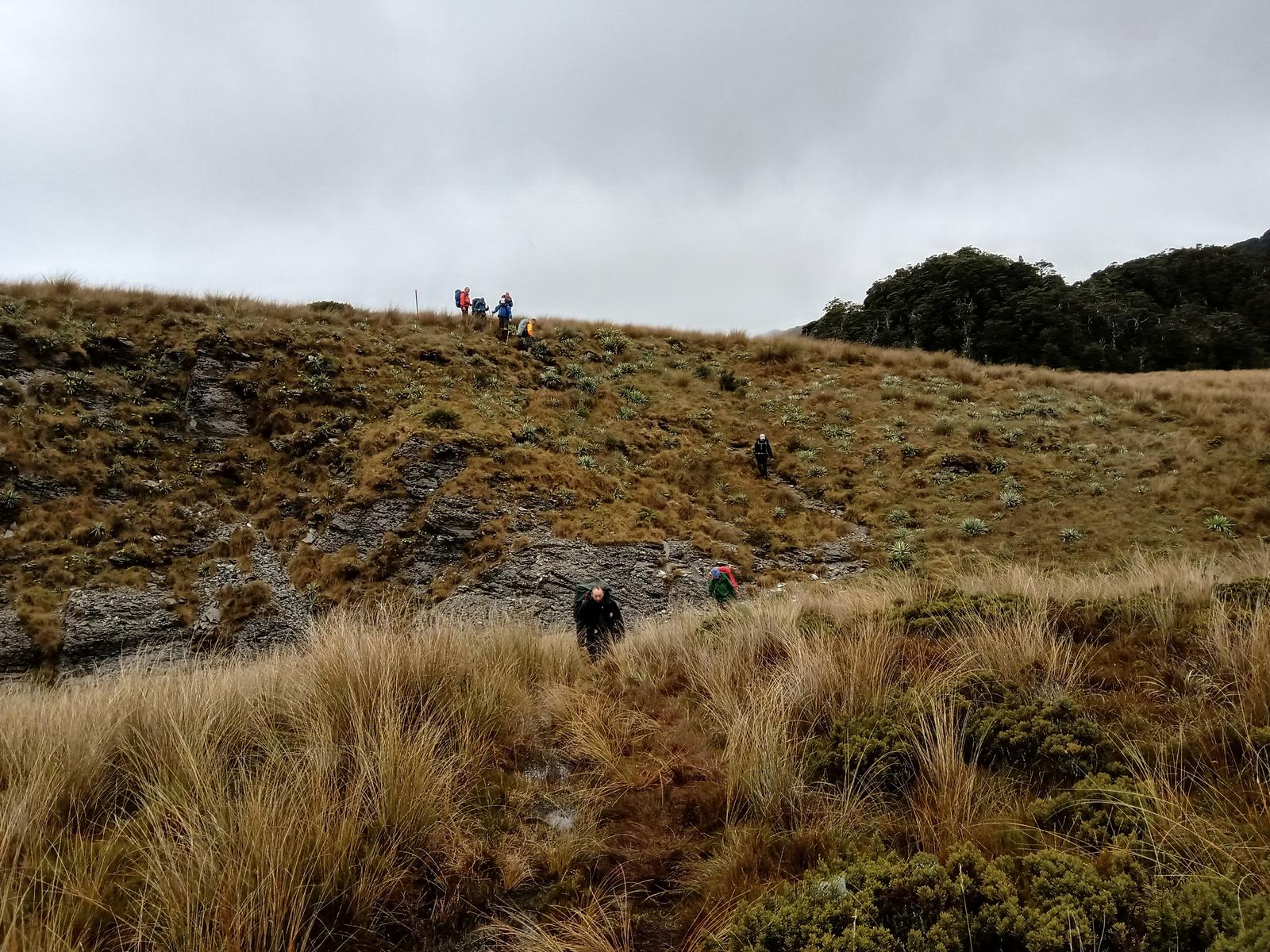 Trampers crossing ridges and re-entrants in tussock