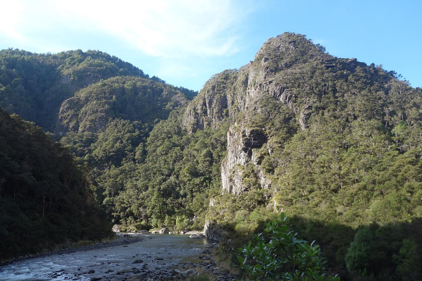 Bush and river valley