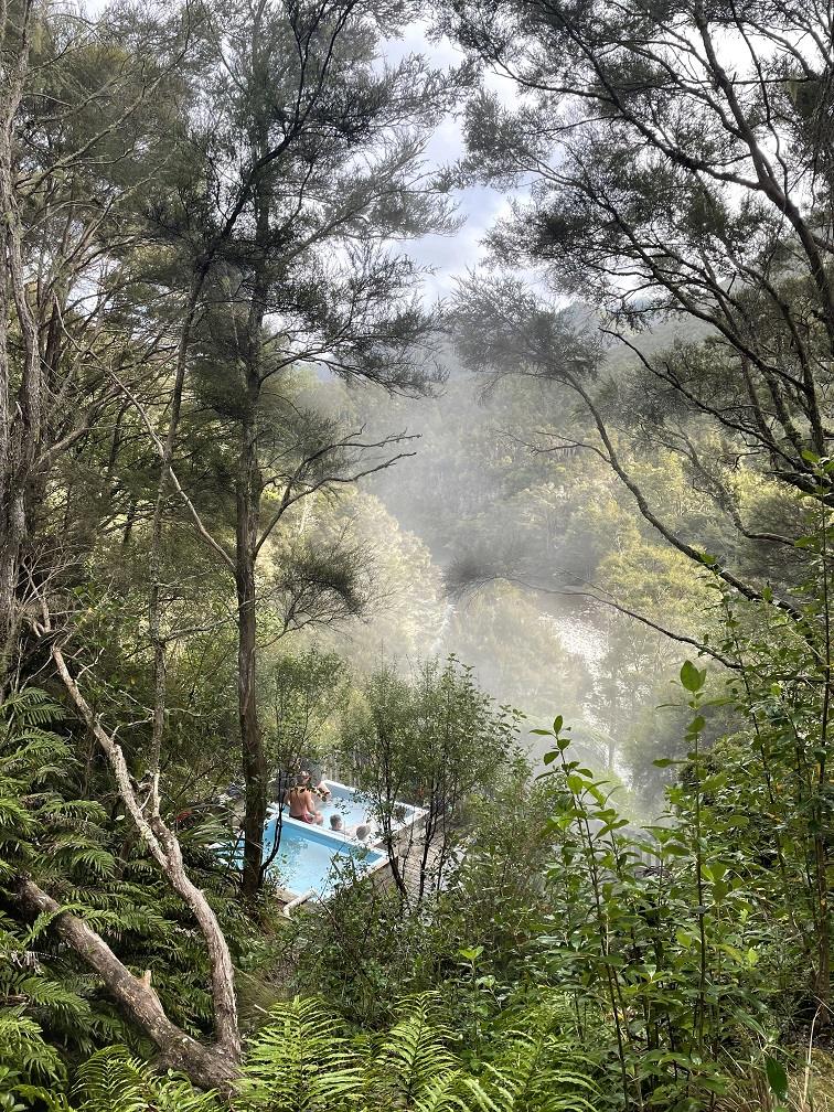 Hot pools in bush