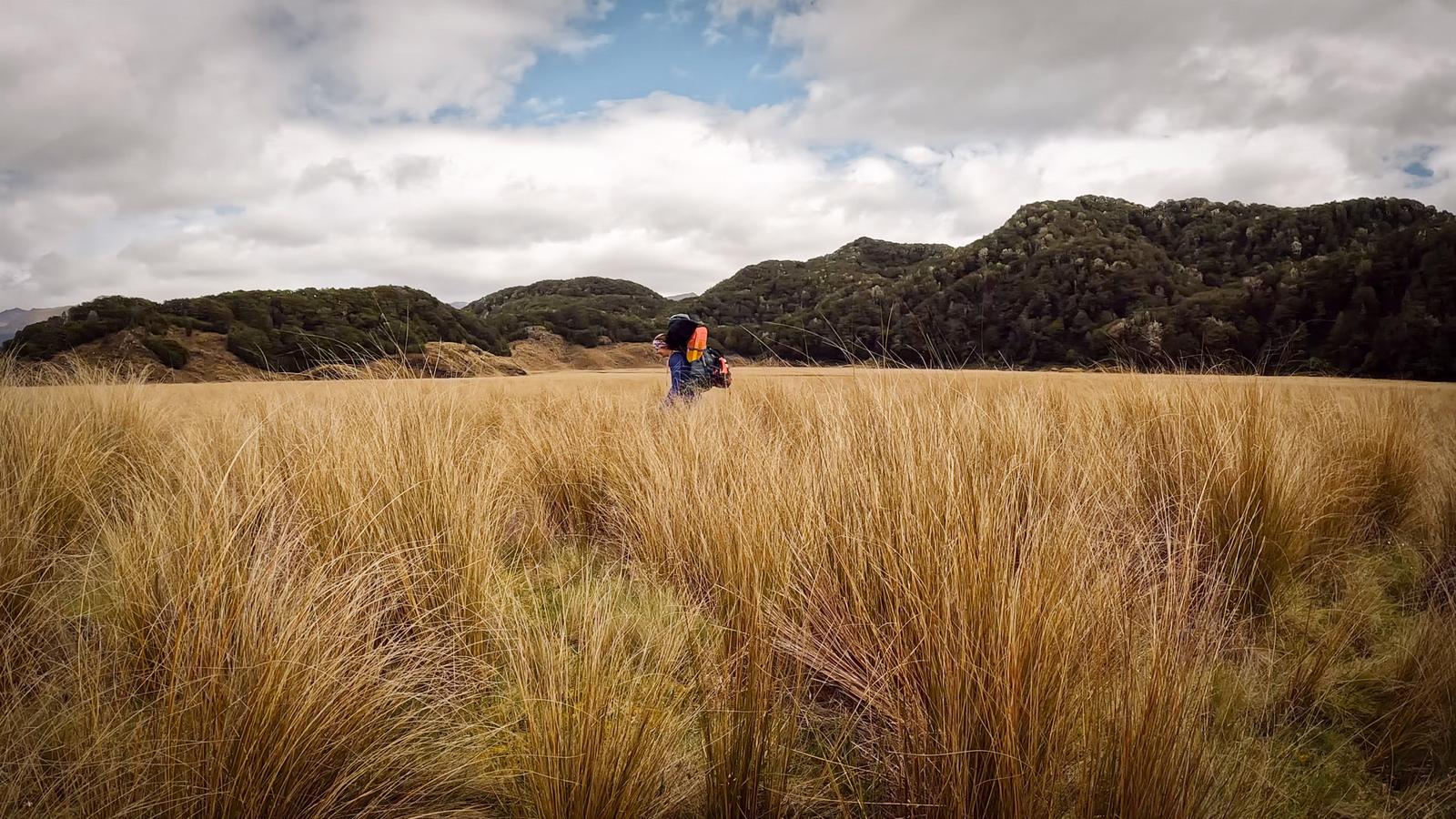 Walking through tussock flats on the way to Green Lake Hut