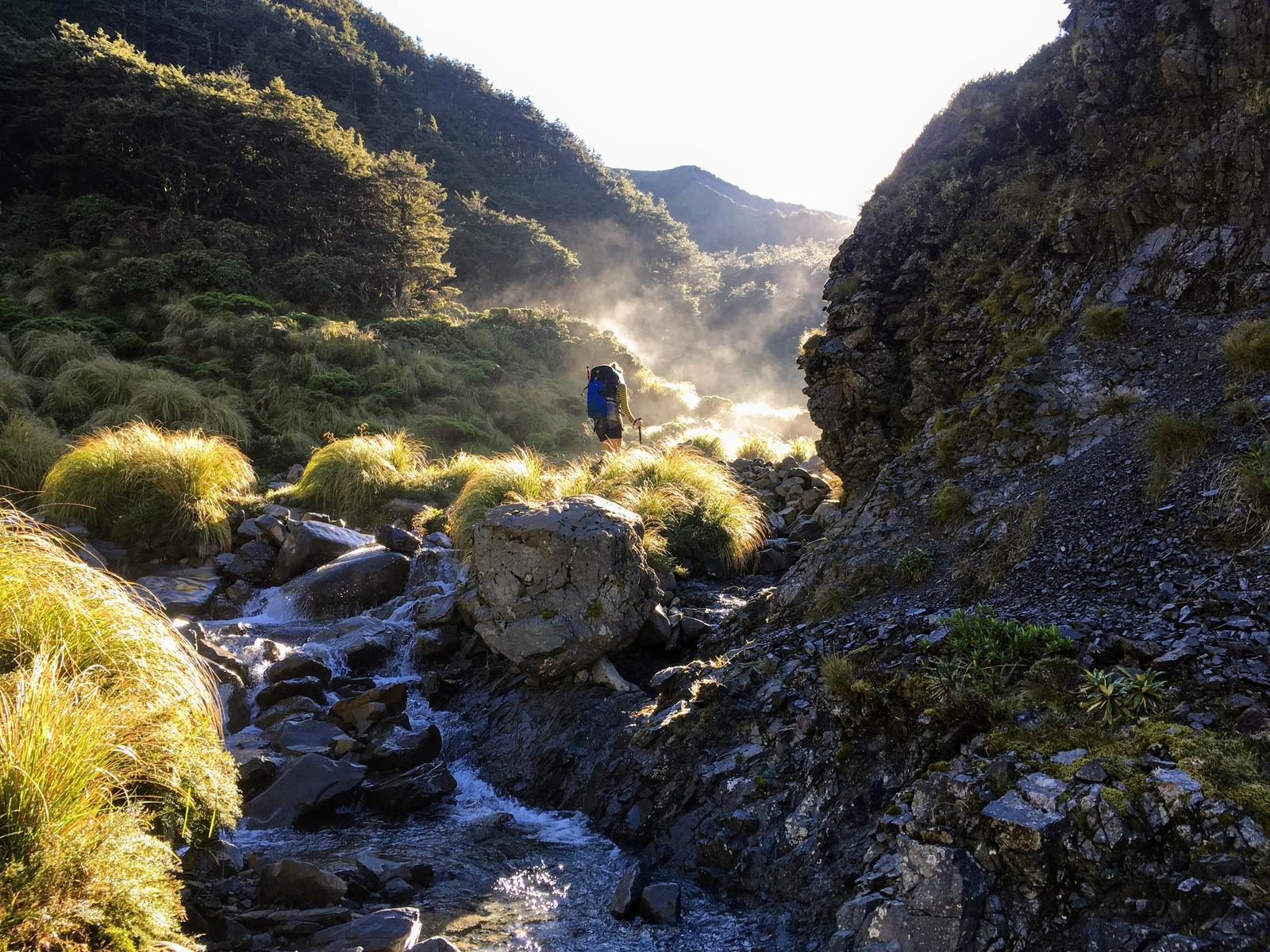 Photo credit: Emily. Waikamaka stream.