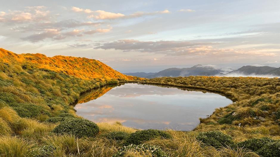Looking north from Maungahuka Hut at sun rise. Mt Holdsworth and Isabelle are on the right