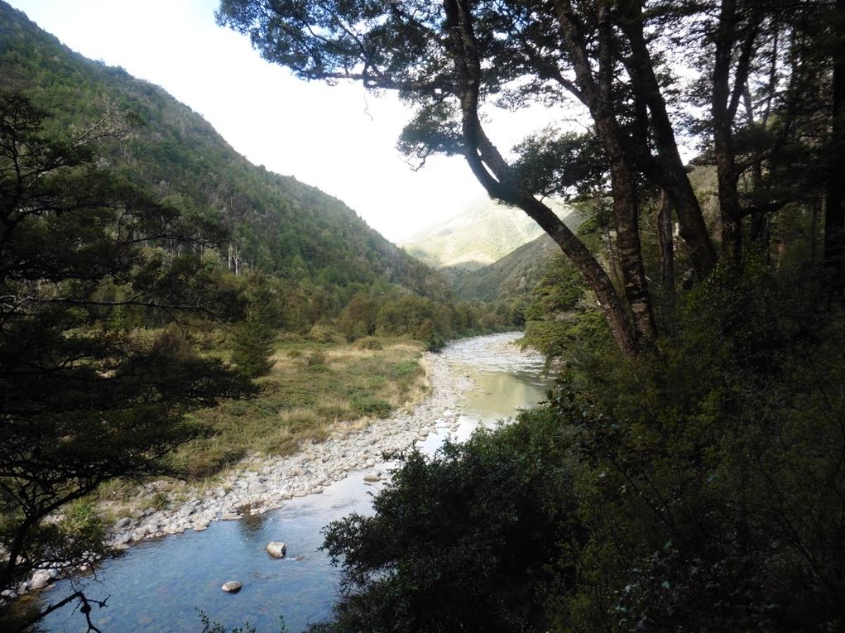 Day 3 - Wangapeka river (Photo: credit James)