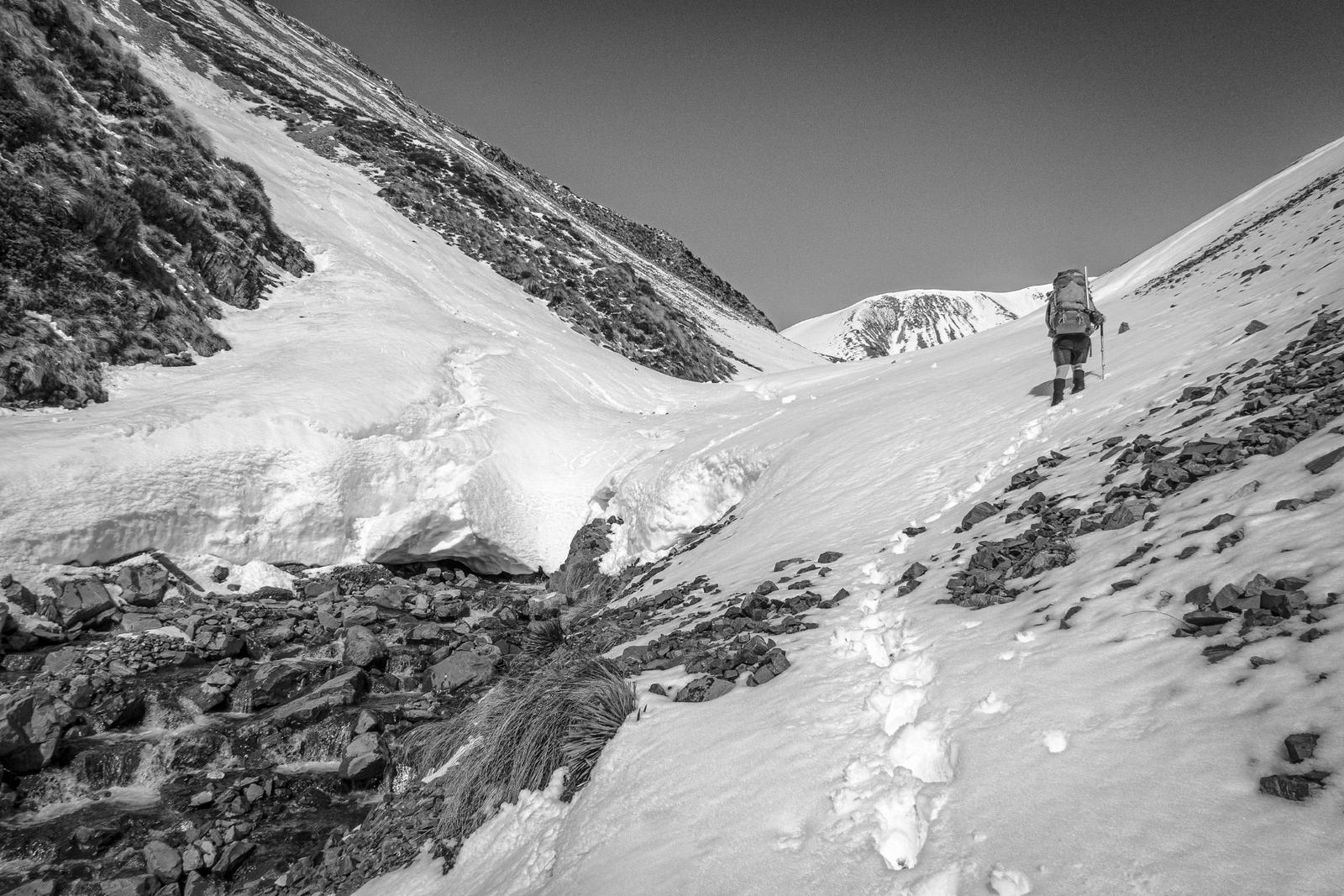 Avalanche debris in Stumpy Stream
