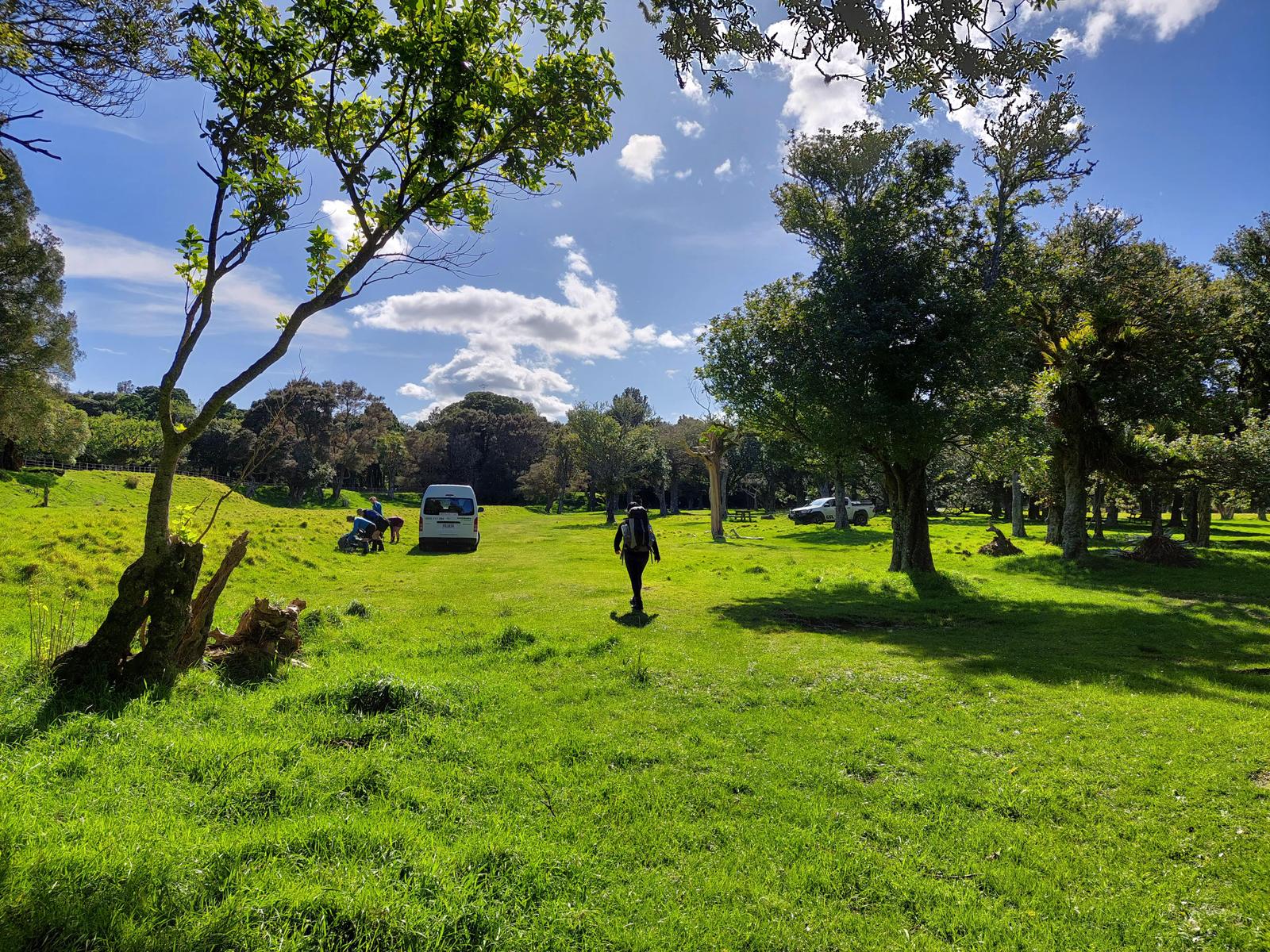 Back at the Waiorongomai Picnic Area.