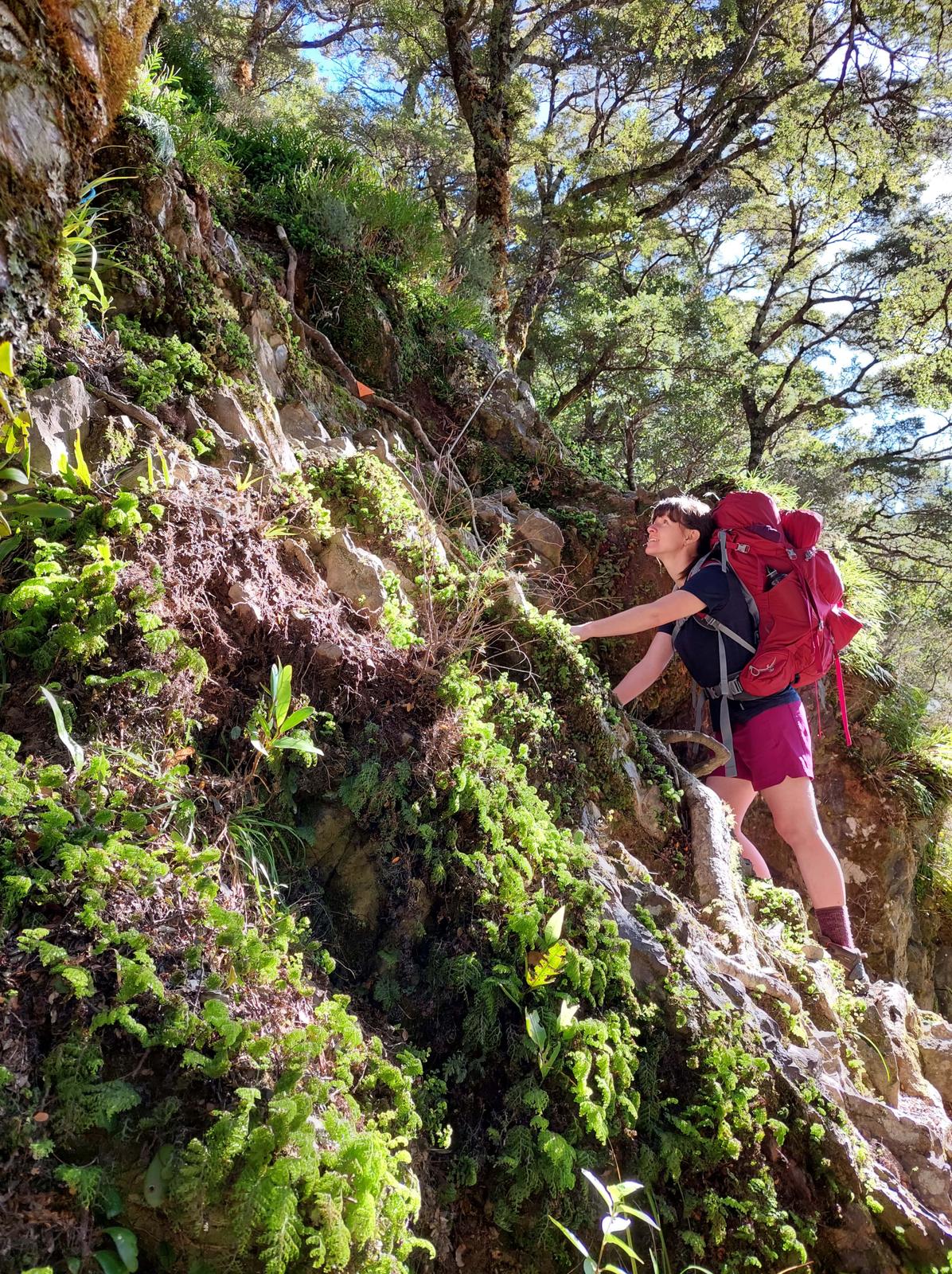 Climbing the rope on the track to Waioronomai Hut