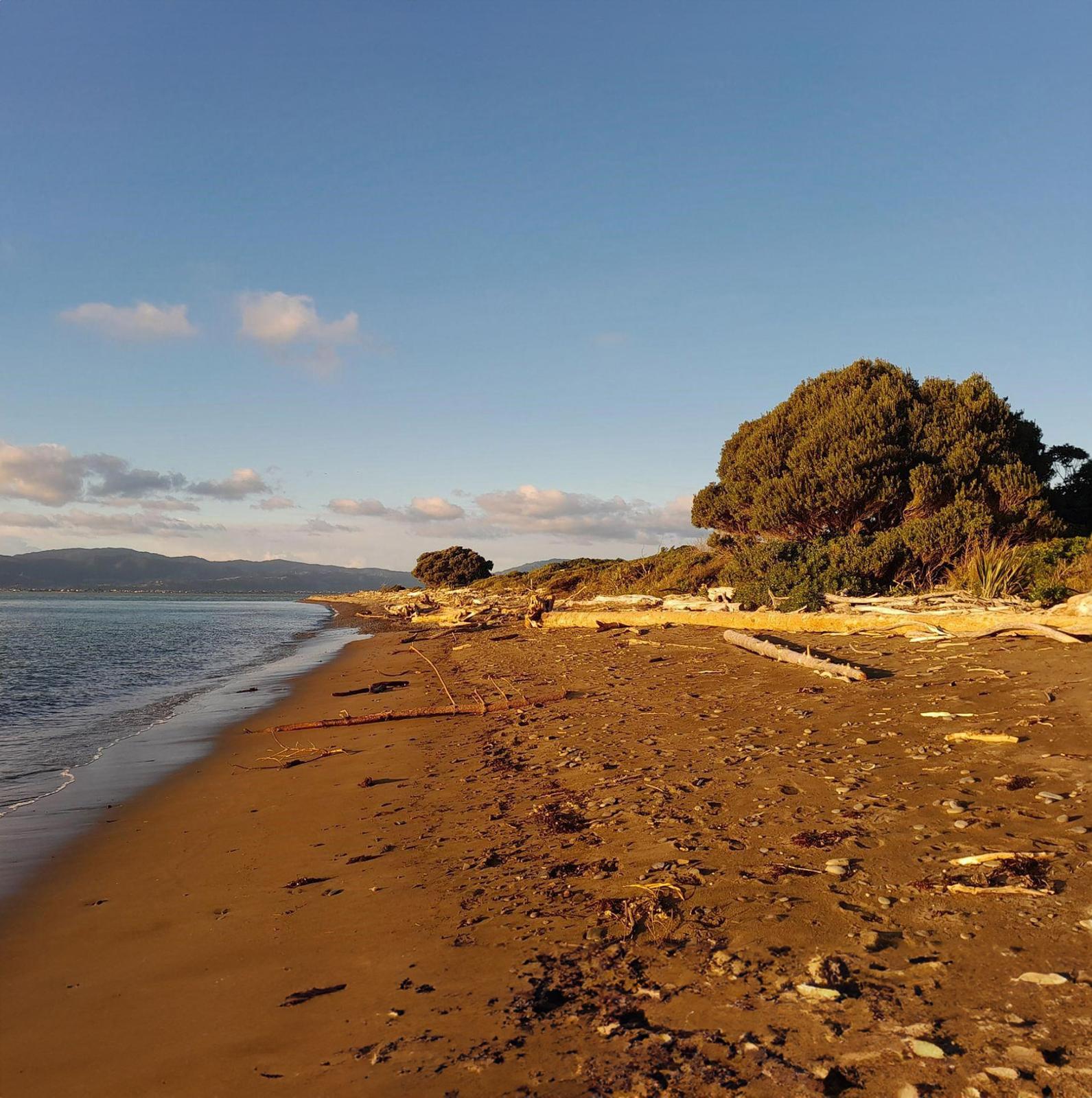 Kapiti Isalnd