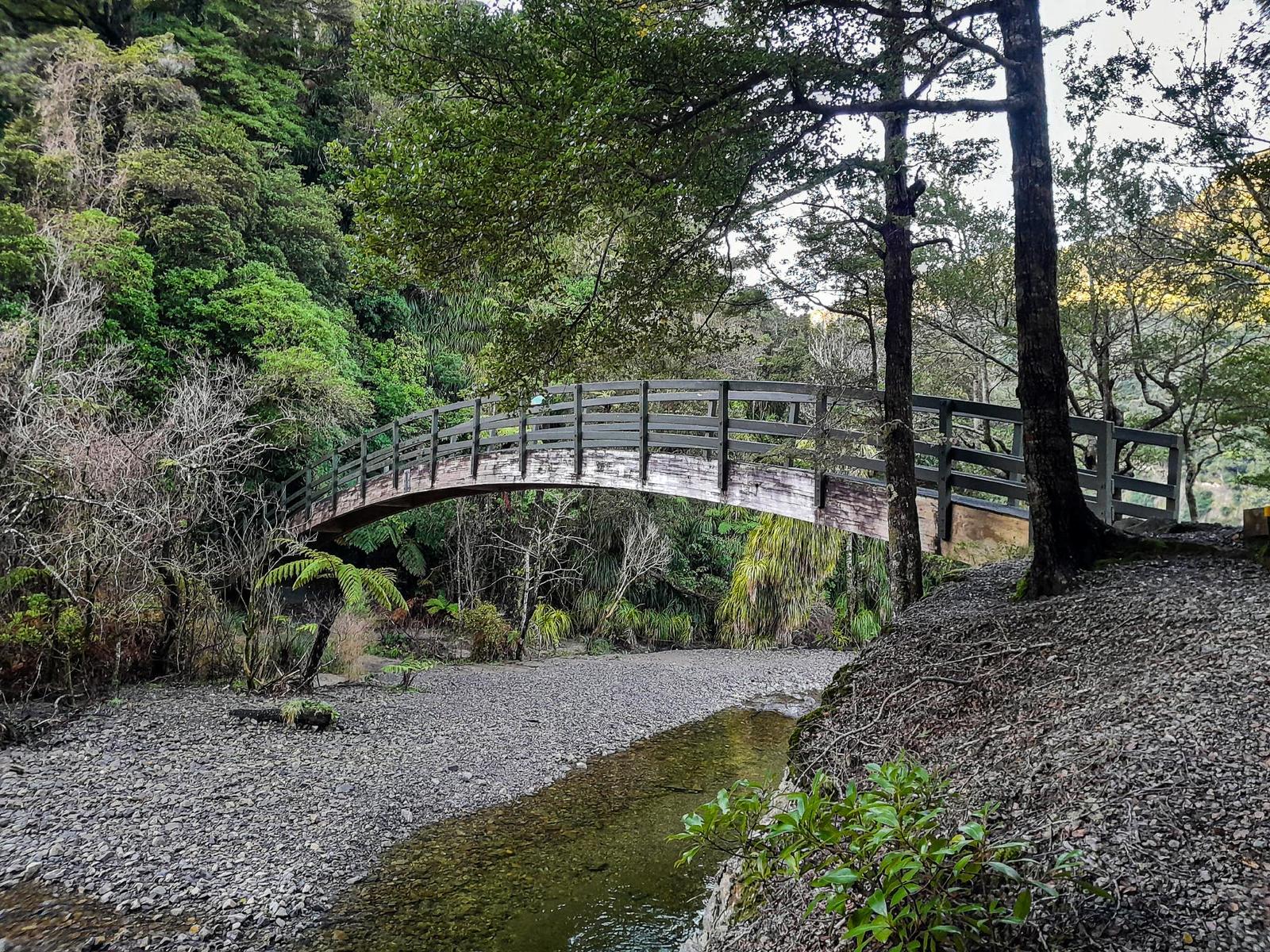 Banana' bridge Orongorongo Valley