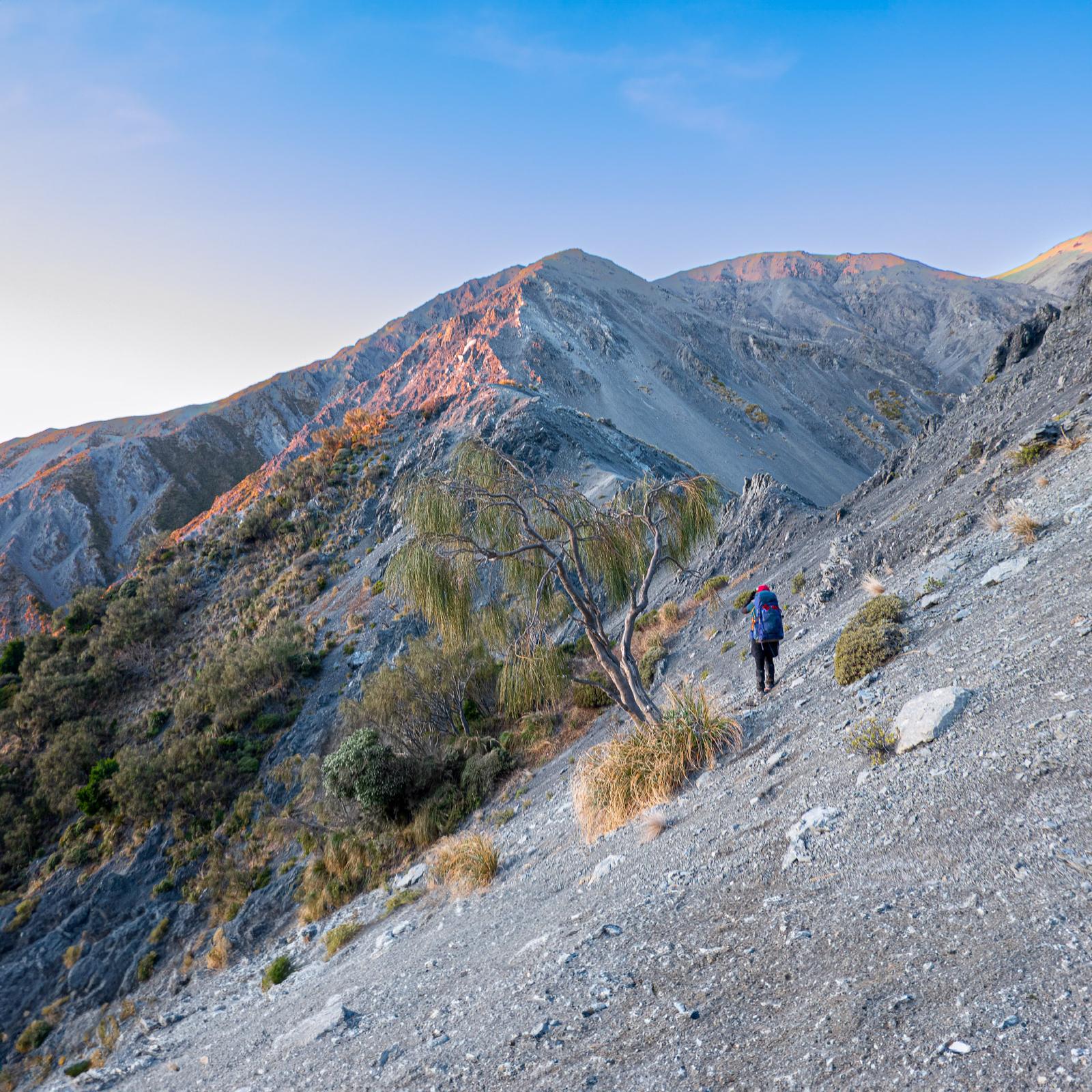 George-Saddle-Seaward-Kaikoura-Range