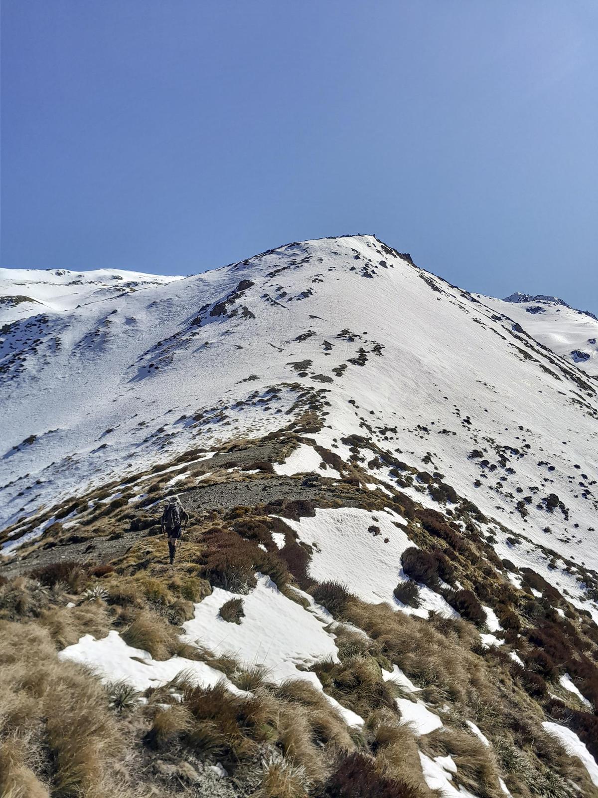 At the snowline on Mt Princess