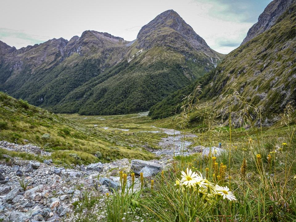 The head of Hut Creek