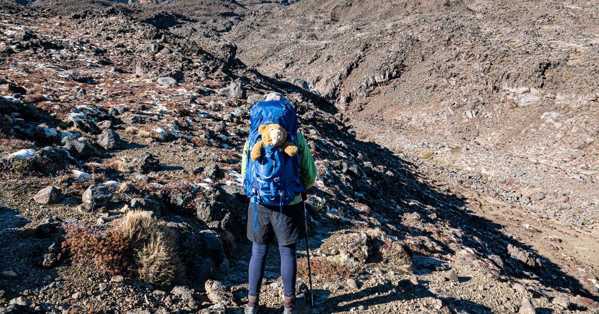 Sarah and Teddy heading off to fid the wilding pine on Mt Ruapehu
