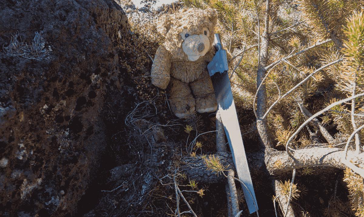Teddy holding the saw ready to cut down the tree