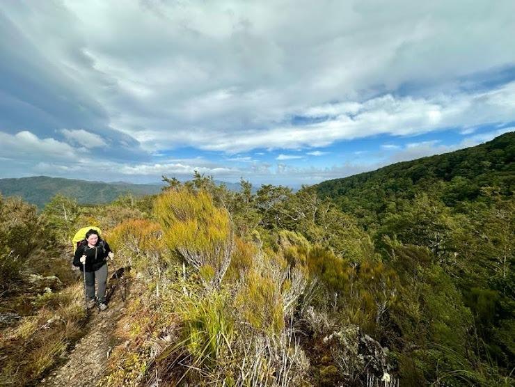 Photo from Tutuwai Hut – Tararua Forest Park