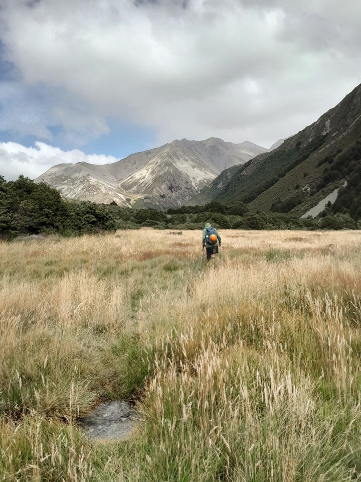 South Temple valley