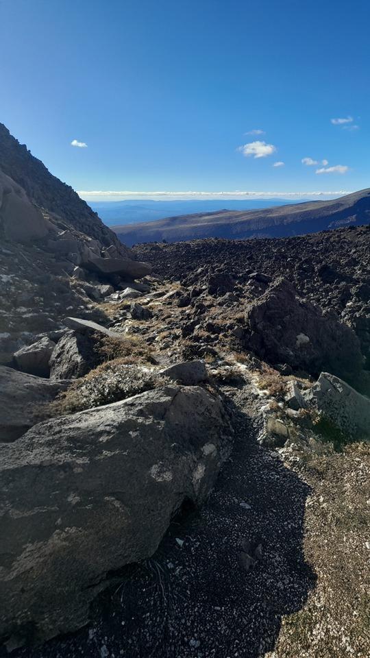 Ground trail below the cliffs of Pukekaikiore