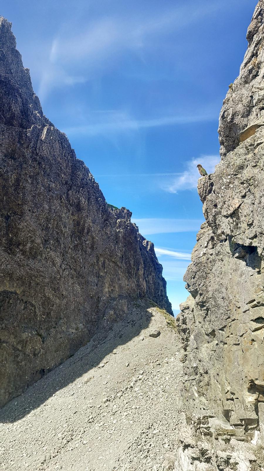 The Gap, Torelesse Range