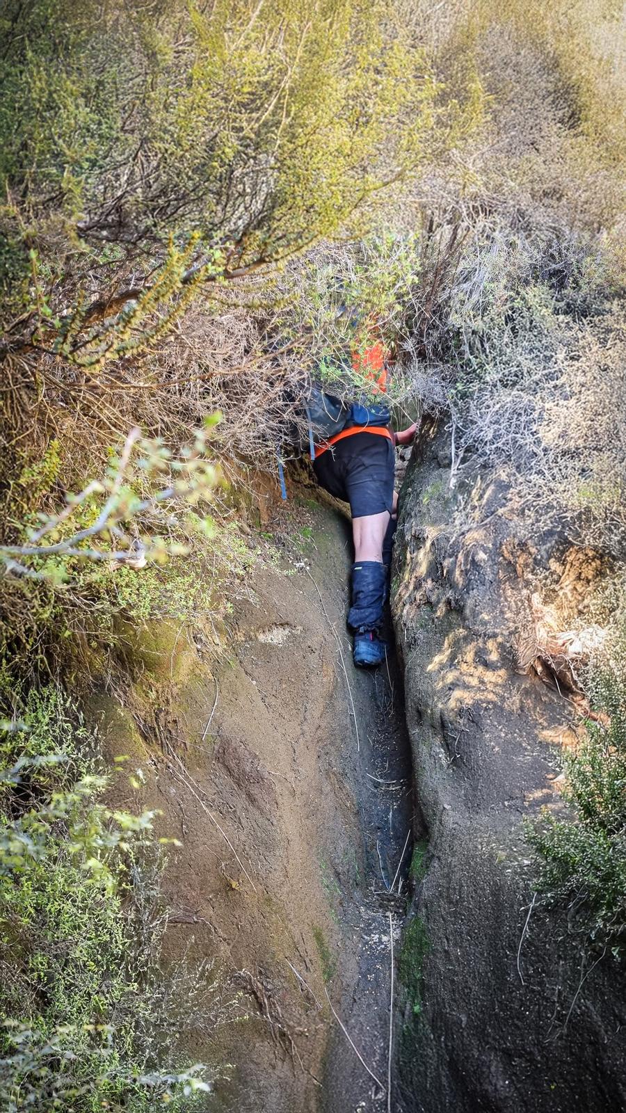 Climbing up the 'Trench Track' on the way to the summit of Pukekaikiore
