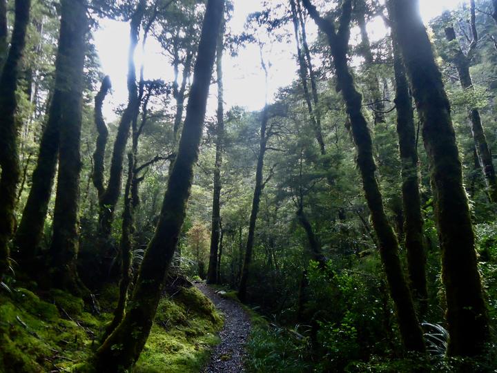 St James Walkway – Canterbury