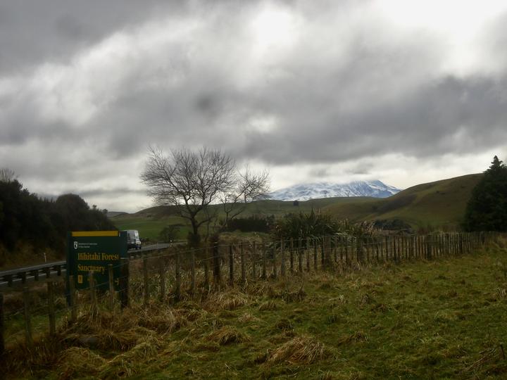 Zekes Hut – Hihitahi Forest Sanctuary