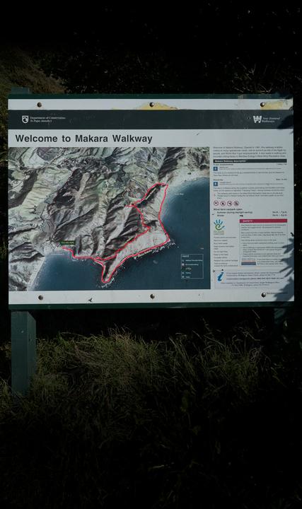 Makara Walkway – an after dark delight