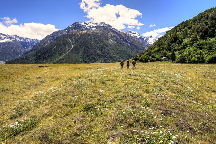 Arthurs Pass to Mt Cook