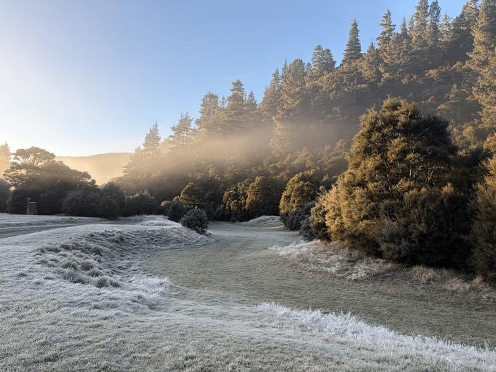Te Puia: Windy roads, gourmet dinners and hot pools