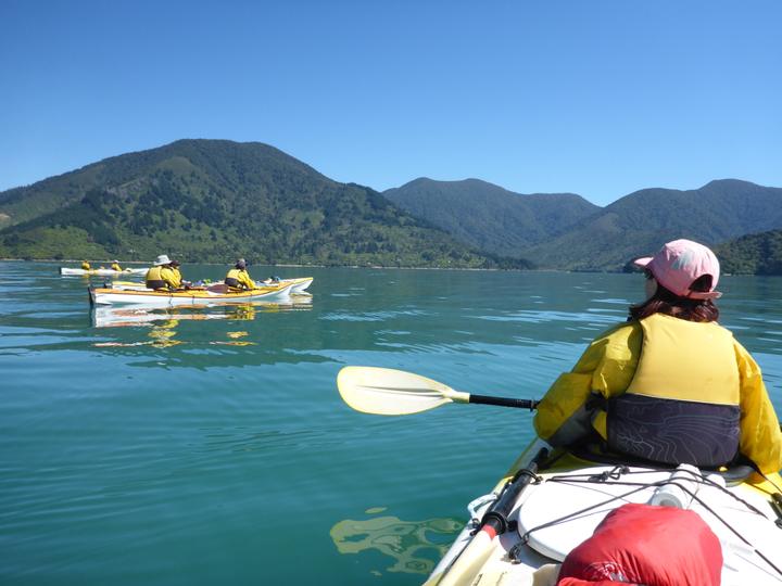 Kayaking the Marlborough Sounds.