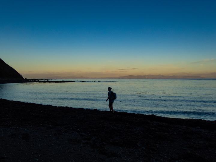 Makara Beach to Owhiro Bay (Red Rocks)