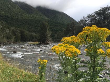 A welcome overcast day as we hiked out of the Travers valley for our boat