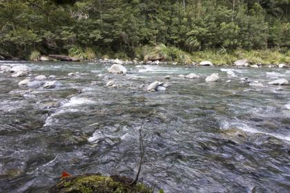 Looking across to the true left of the Waingawa River from Cow Creek Hut. The nearest measuring site, Waingawa River at Kaituna, recorded a measured flow of 9.5m3/s at 12pm. The big rain that came through on Sunday morning lifted that to a peak of 226m3/s at 9.40am on the Sunday.
