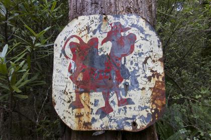 The tell-tale Cow Saddle sign!