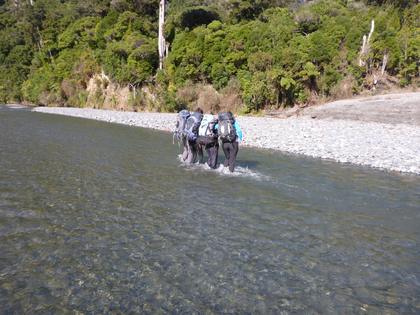 Experts crossing